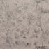 Printed Pashmina